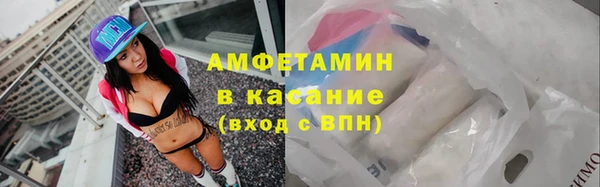 прущие грибы Беломорск