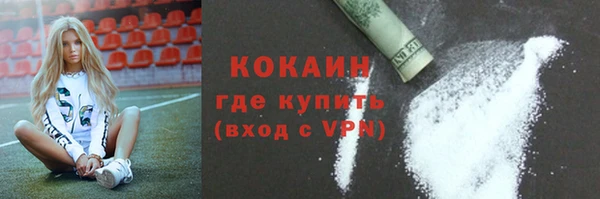 дживик Белокуриха