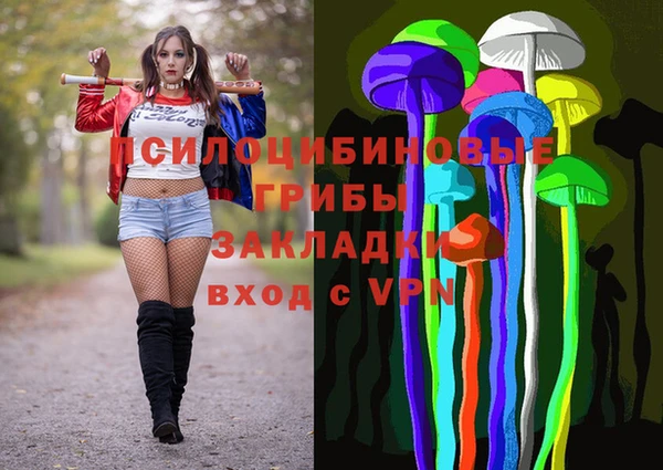 прущие грибы Беломорск