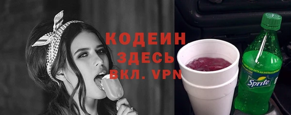 дживик Белокуриха