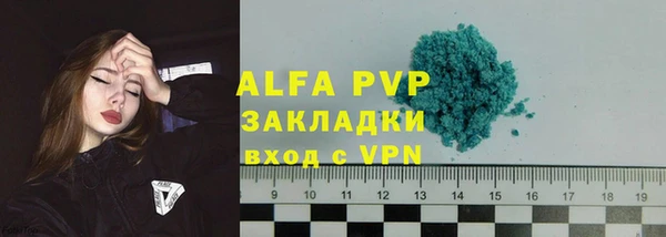 прущие грибы Беломорск