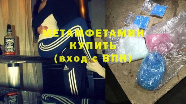 прущие грибы Беломорск