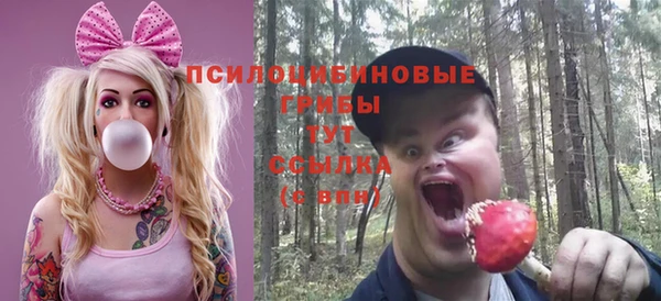 дживик Белокуриха