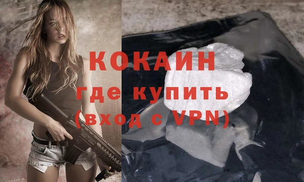 дживик Белокуриха
