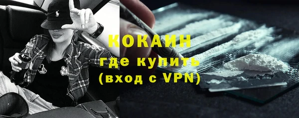 дживик Белокуриха