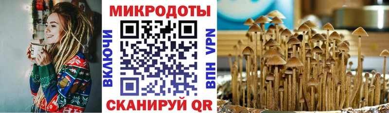 Галлюциногенные грибы мицелий  OMG сайт  Саяногорск 