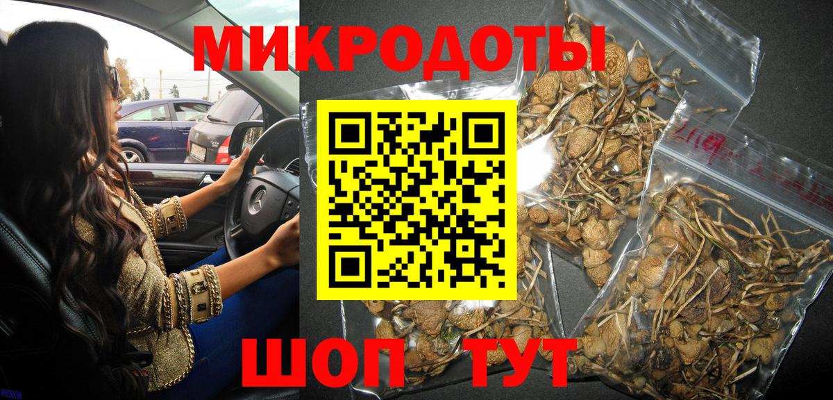 Псилоцибиновые грибы прущие грибы Саяногорск