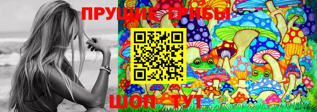 Саяногорск  Псилоцибиновые грибы Cubensis  Вход с VPN 